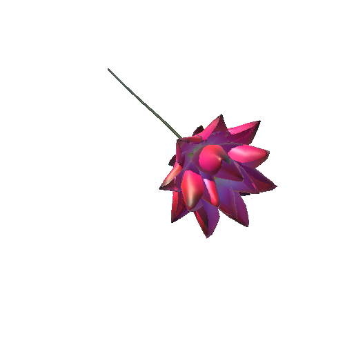 lotus flower 15